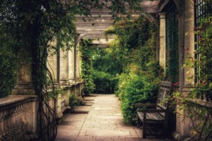 after-building cleaning hampstead