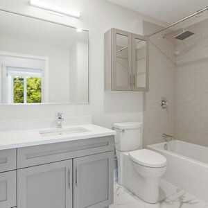 bathroom cleaning