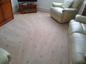 lviing room carpet cleaning