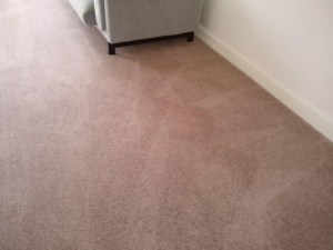 home carpet clean