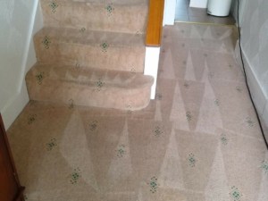 hallway carpet cleaning