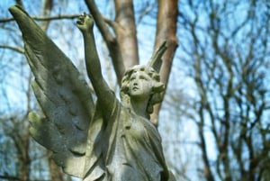 cleaners highgate