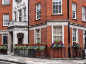 cleaning services mayfair
