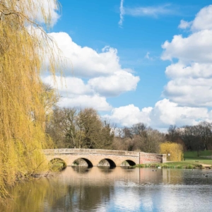 cleaning sidcup