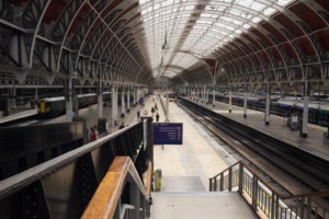 domestic cleaning paddington