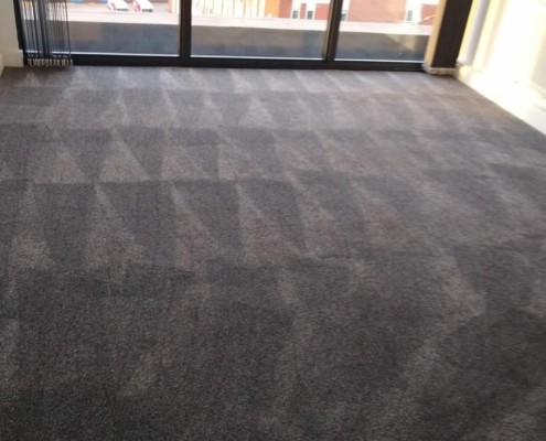 office carpet cleaners image