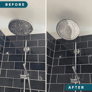 limescale removal from shower head one off clean