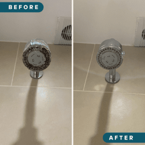 shower head limescale deep cleaning